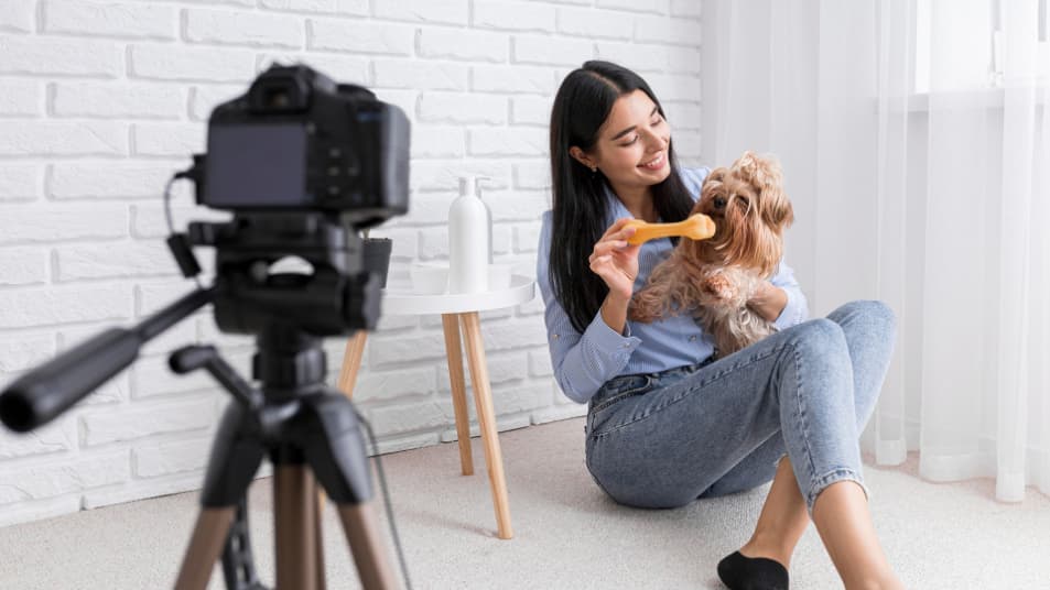 Pet Photoshoot space